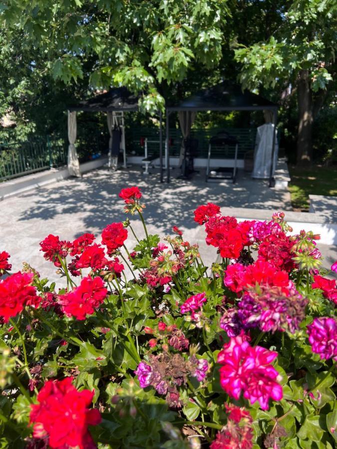 روما Villa Albina المظهر الخارجي الصورة